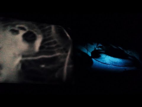 Philip Jeck w/ Karl Lamieux & Michaela Grill - Kuroshio