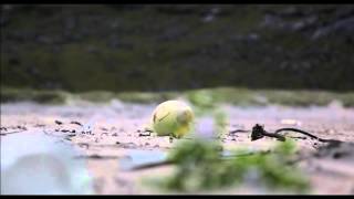 North of the Sun - Breeders - Cro-Aloha