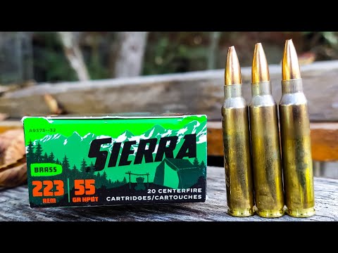 The Ultimate Budget Gun