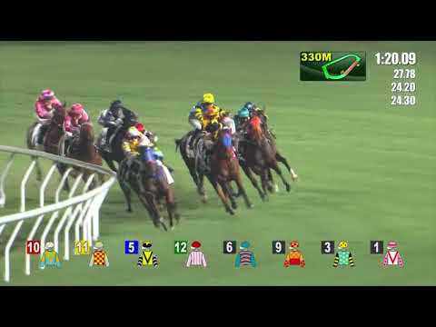 14/9/2022 (16) Amazing Boy - Silvestre de Sousa