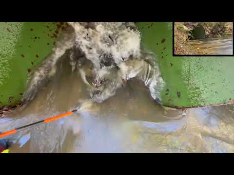 UNCLOGGING BEAVER CLOGGED CULVERT. OPPOSITE VIEW. 11/2025