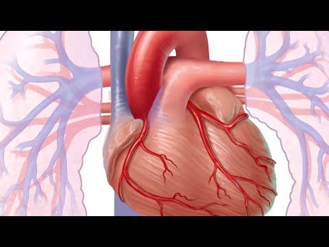 Mayo Clinic Minute: What is heart disease?