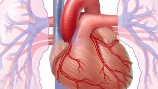 Download lagu Mayo Clinic Minute: What is heart disease? mp3 Download lagu Mayo Clinic Minute: What is heart disease? mp3