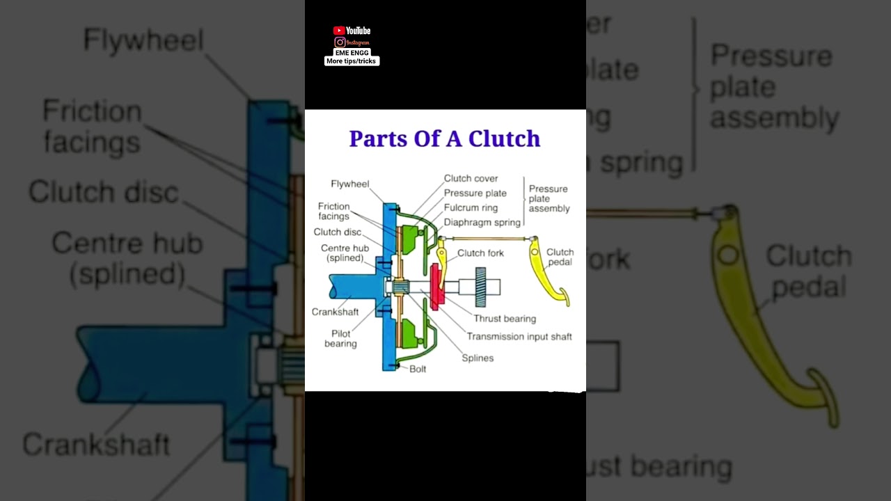 Parts of a clutch ✅