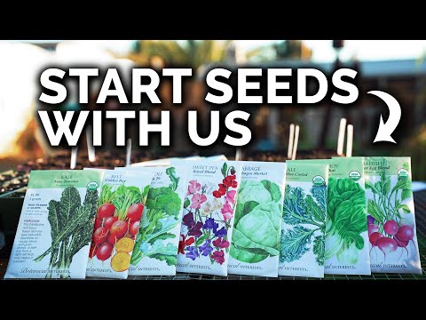 Garden With Me Starting Seeds Pruning Composting