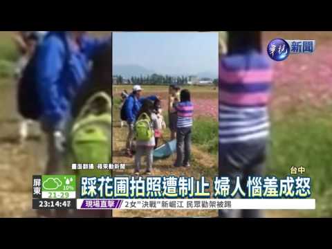 新社花海節登場 亂象一籮筐