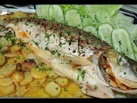 download lagu mp3 mp4 Qu Es Huachinango, download lagu Qu Es Huachinango gratis, unduh video klip Qu Es Huachinango