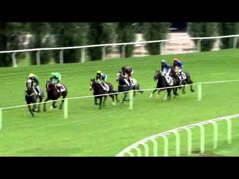 2014.09.10 St. Leger Suisse - Oak Harbour