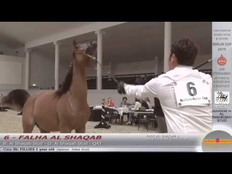 Berlin Cup Werder 2015 - Fillies 1 year old (Class 3B) - N.6 FALHA AL SHAQAB