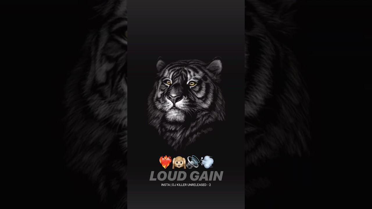 HIGH GAIN SONG______