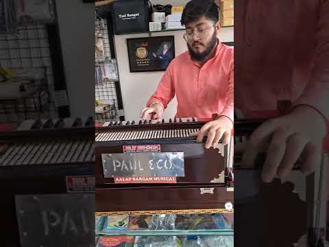 ११ स्केल चेंजर ३ रीड्स मेल/मेल/फीमेल