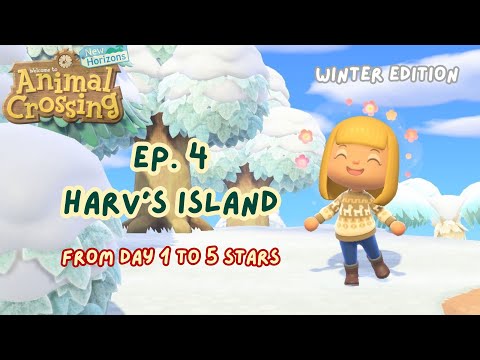 Day 1 to 5 Stars | Ep. 4: Harv's Island and Photopia! | Animal Crossing Longplay