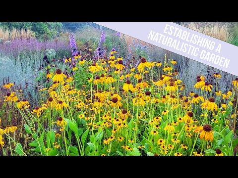 Establishing a Naturalistic Garden in Fallow, Compacted Fields | Garden Story with Donald Pell