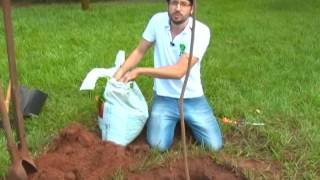Miniatura do vídeo