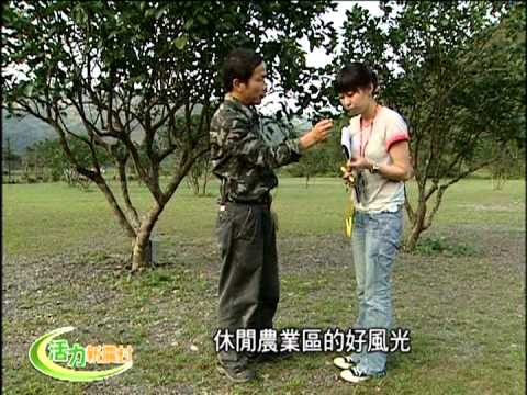 活力新農村-第013集 茶鄉迎春玩透透
