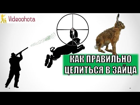 , title : 'Как ПРАВИЛЬНО целиться в зайца на охоте? Videoohota'