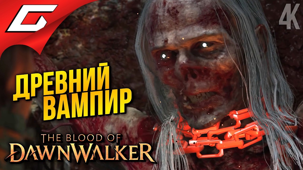 "ОТЕЦ" БРЕНЦИСА ➤ The Blood of Dawnwalker ◉ Прохождение 13