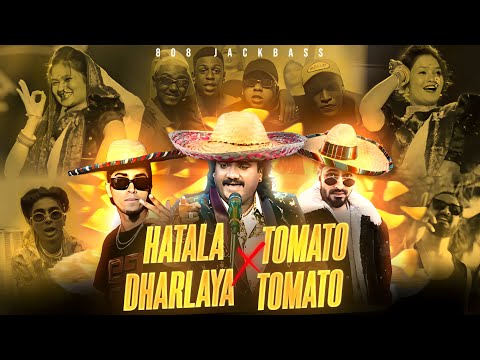 MC STAN - HATALA DHARLYA FT. SAMBHAL GHASRAL PAY GA | TOMATO TOMATO | 2K24 #viral