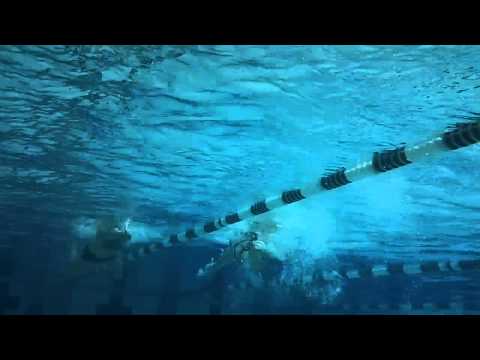 Evanston Masters swim at Northwestern