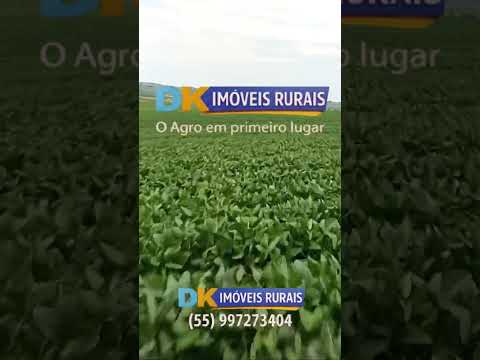 🚜 Fazendas à Venda e Arrendamento no RS | Oportunidades para Investidores e Produtores 🌾