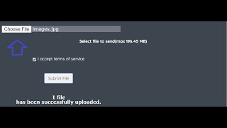 Selenium Tutorial |How to Upload  a File using Selenium Webdriver