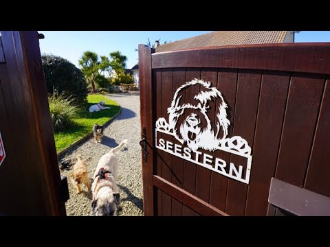 Garten Rundgang: Haus Seestern, 200m zum Meer, Urlaub mit Hund in Frankreich 🇫🇷 Normandie