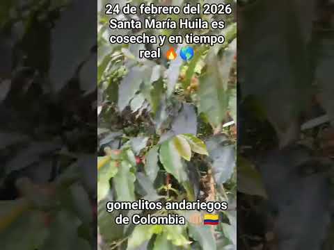 Santa María, en el hermoso departamento del Huila, cuenta con una población aproximada de 10,798