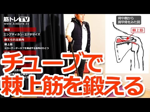 肩のインナーマッスルはなぜ重要？器具なしでできる鍛え方とストレッチ方法を解説 &ndash; uFit