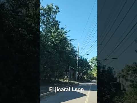 El jicaral. bendecido. León Nicaragua.