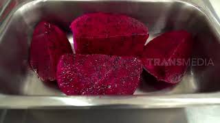 Download lagu Kepoin Pabrik Pembuatan Susu Ubi Ungu Buah Naga | SI UNYIL (13/10/20) mp3