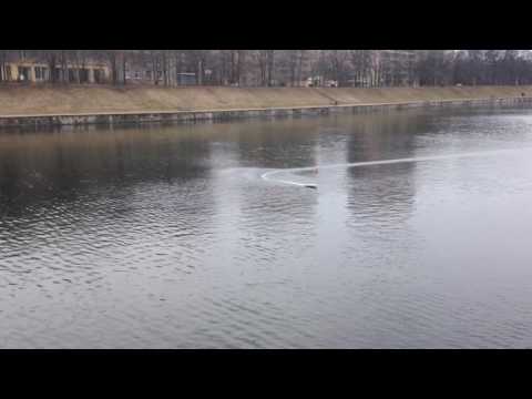 Eco Expert 2017 Test