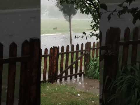 #PIEDRA: EN CEBALLOS LA PAMPA ‼️