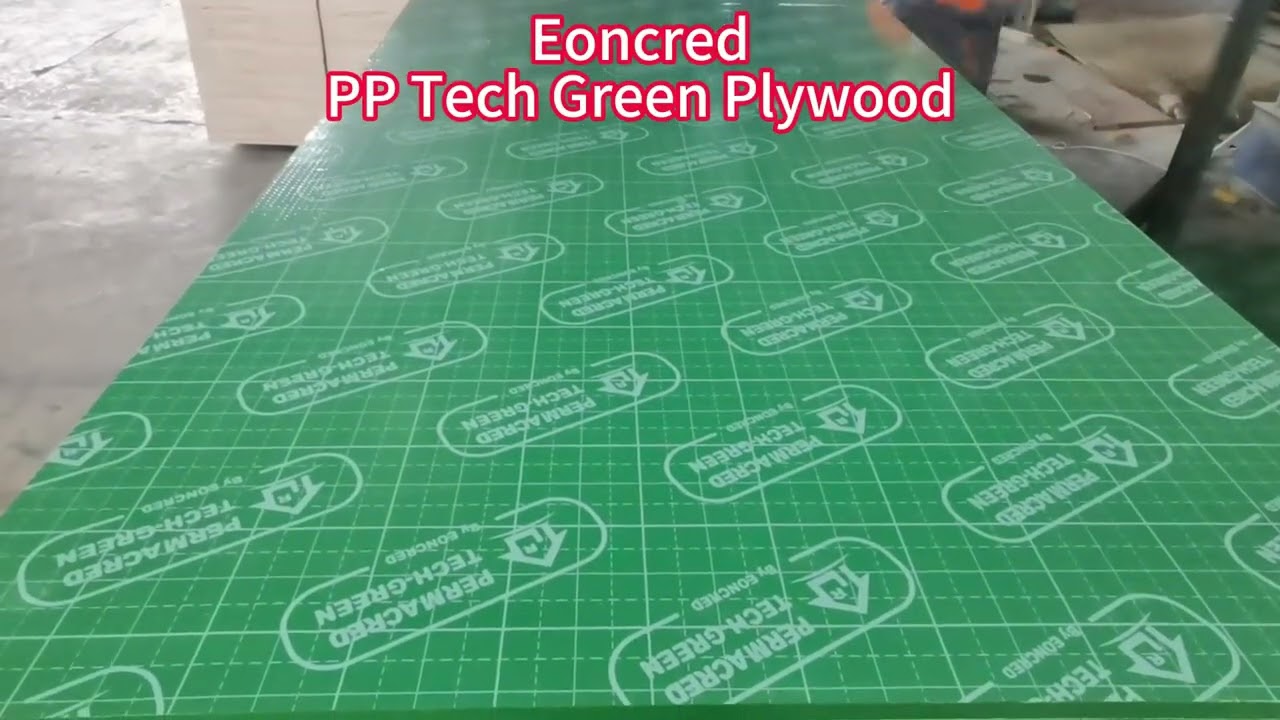 PP-Tech Green Plywood That Stands Up to Moisture, Spills, and Daily Wear – No Rot, No Worries