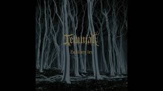 Video Temniak - Zakliaty les (Full album 2025)