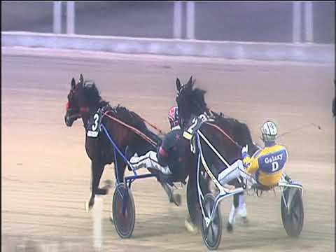 Trotto 14/01/2020 - 5ª corsa