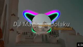 Download lagu DJ MANUSIA IDOLAKU SLOW BASS VIRAL TIK TOK 2024 mp3