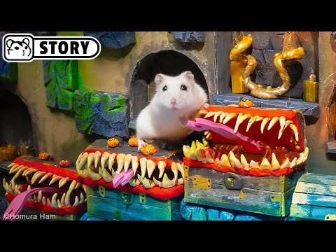 ⚔️ Hamster in the Dungeons & Dragons Maze - Lost Treasures ⚔️ Homura Ham