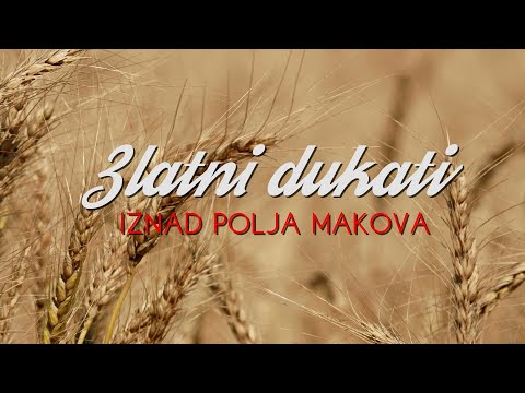 Zlatni dukati - Iznad polja makova (Lyric video)