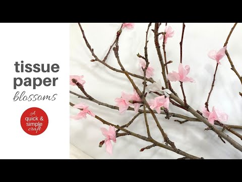 How to Make Tissue Paper Blossoms | Quick & Simple Craft