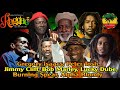 Gregory Isaacs,Peter Tosh,Jimmy Cliff,Bob Marley,Lucky Dube,Burning Spear,Alpha Blondy: Albums 2021