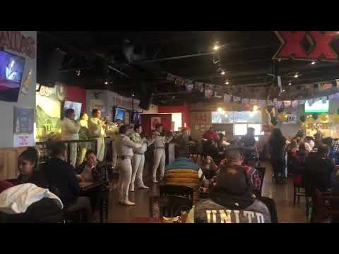 Promotional video thumbnail 13 for Mariachi Arraigo de America