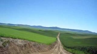 Driving in the Palouse