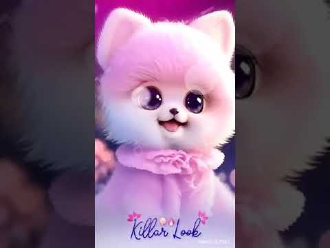 THE VERY VERY CUTE DOG 🐕‍🦺AND DOGS TEND SHORTS 🐕VIDEOS ❤️❤️❤️💯❤️🥰🥰🥰❤️❤️💯💯💯💯🥰🥰❤️❤️💯