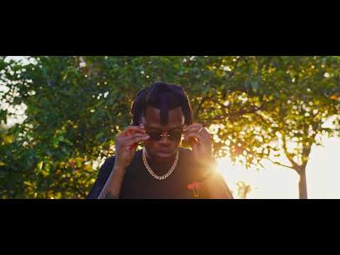 Guarionex - DND ( Official Video )