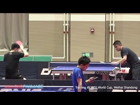 Fan Zhendong training multiball with Wang Hao coach | 2020 World Cup #7