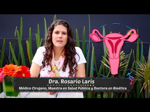 ¿Qué es la menstruación?