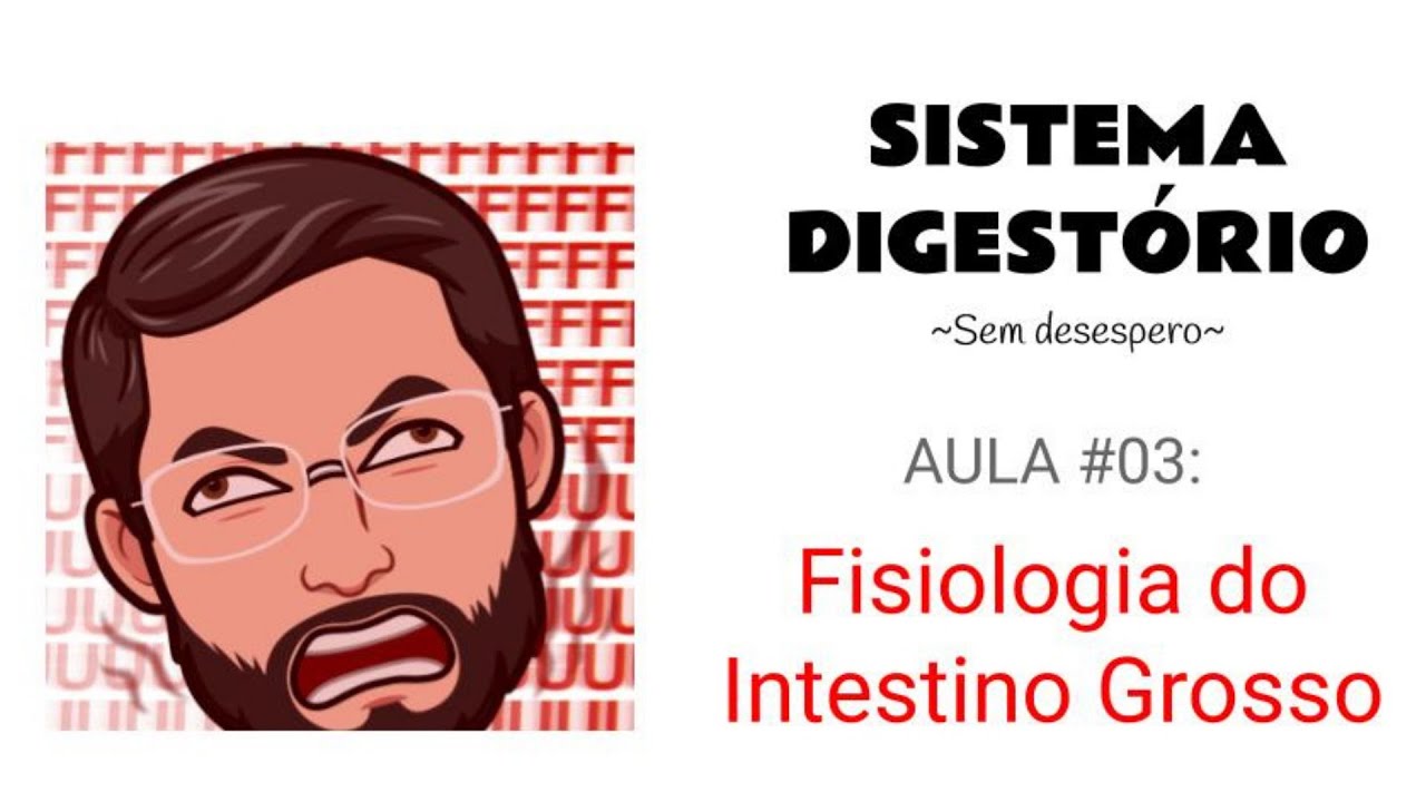 Sistema Digestorio Aula#05 (Prof. André Oliveira; UFMG) - Fisiologia do Intestino Grosso