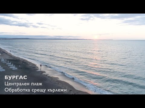 Обработка срещу кърлежи на плажа в гр. Бургас