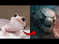 I'm a Big Kid Now Cute Baby Animals | Animals Grow Up | Animals Transformation Beast