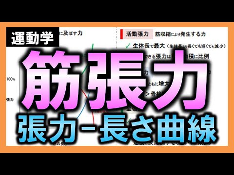 長さの収縮について詳しく解説